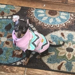 Meet your Posher, Lizabeth